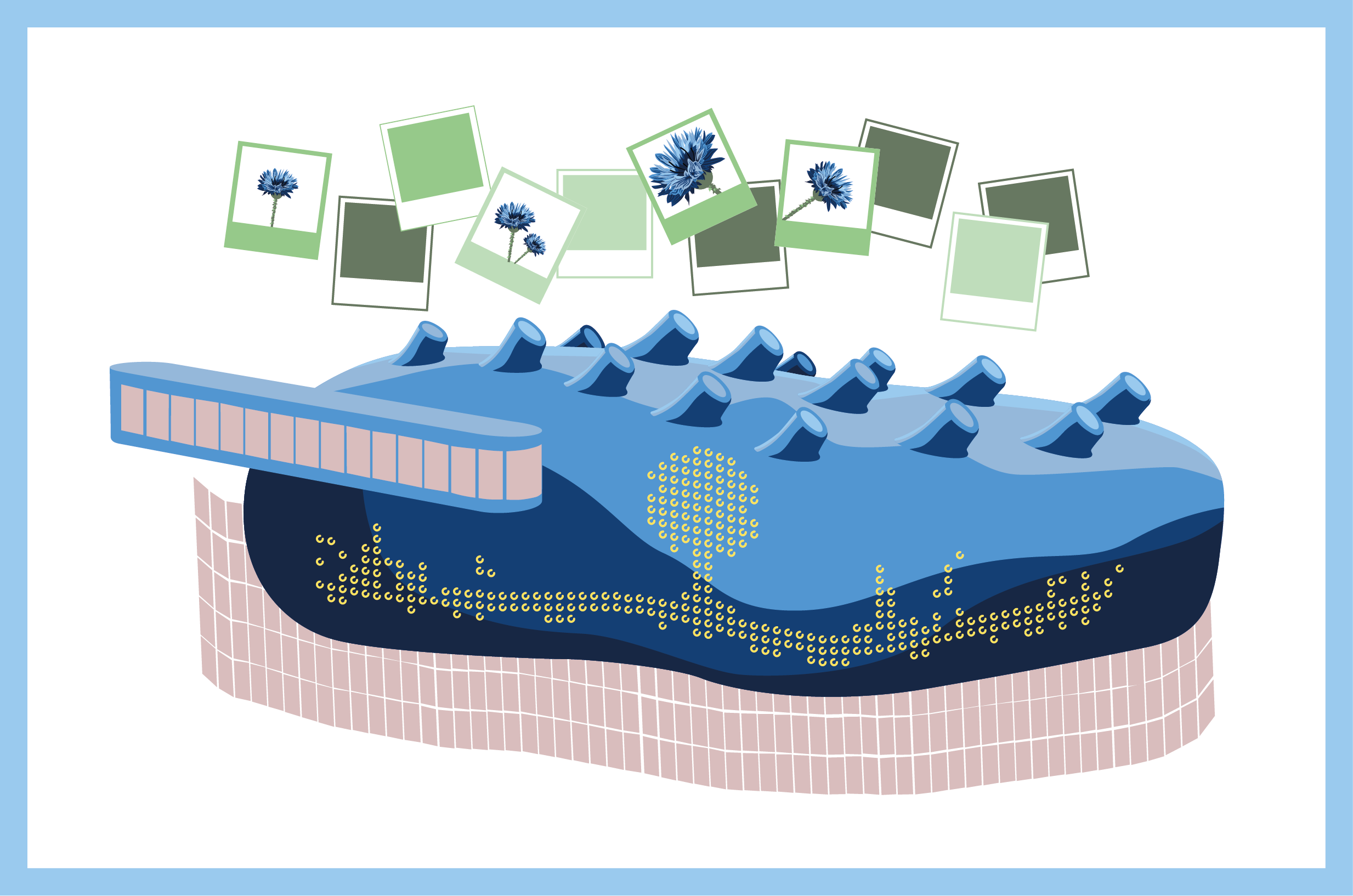 pictrees_grafiken_03